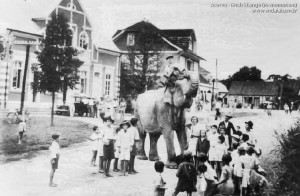 1938 – Primeiro elefante visto em Indaial